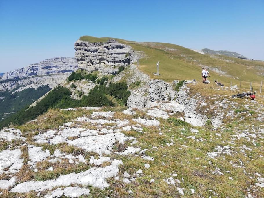 Logement Standing Wifi Vercors 'In Сен-Жан-ан-Руаян Екстер'єр фото