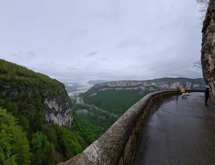 Logement Standing Wifi Vercors 'In Сен-Жан-ан-Руаян Екстер'єр фото